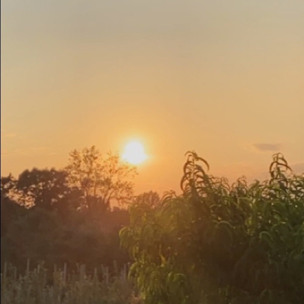 Meet your Posher, Christine